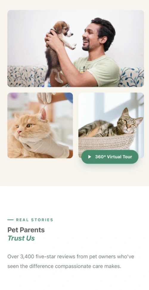 Veterinary Clinic Pet Hospital Web Design 1